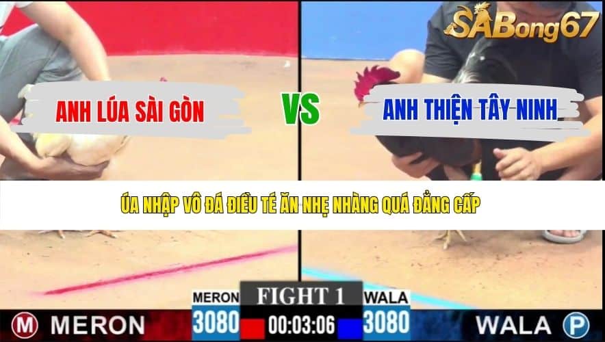 TRẬN 1 CPC3 21/5/2026