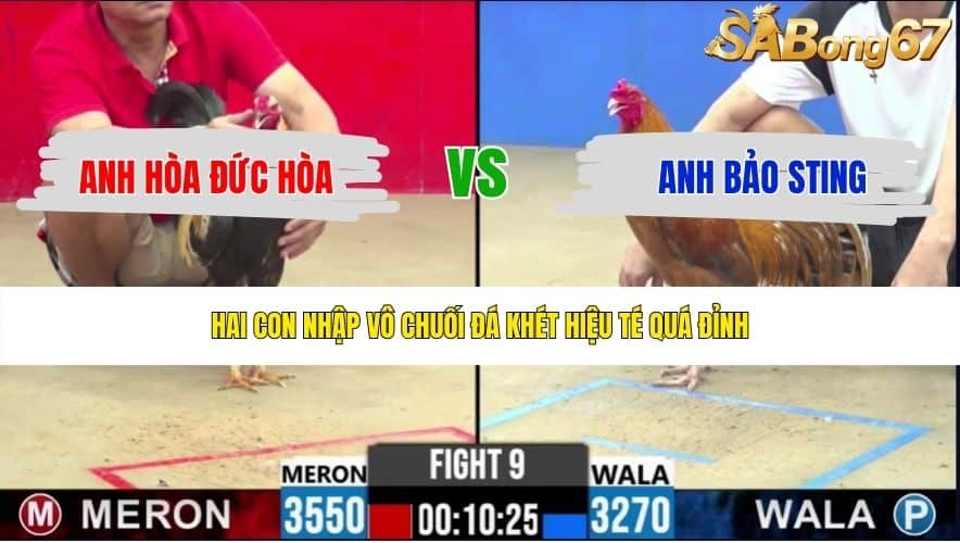 TRẬN 9 CPC2 19/5/2026