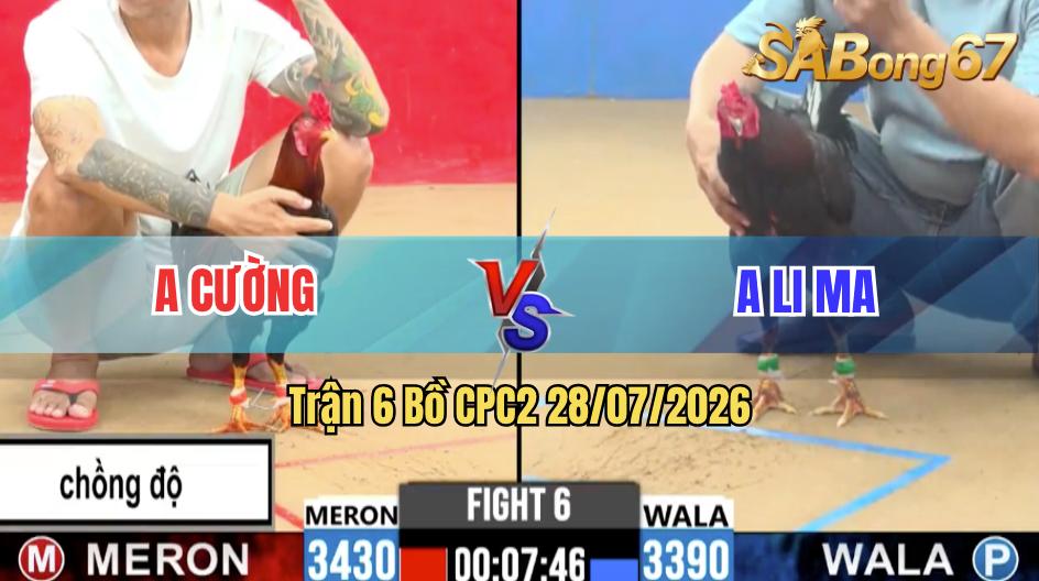 Trận 6 CPC2 28/07/2026 – Gà Điều Anh Cường Chồng Độ Lên Lớp Đẳng Cấp